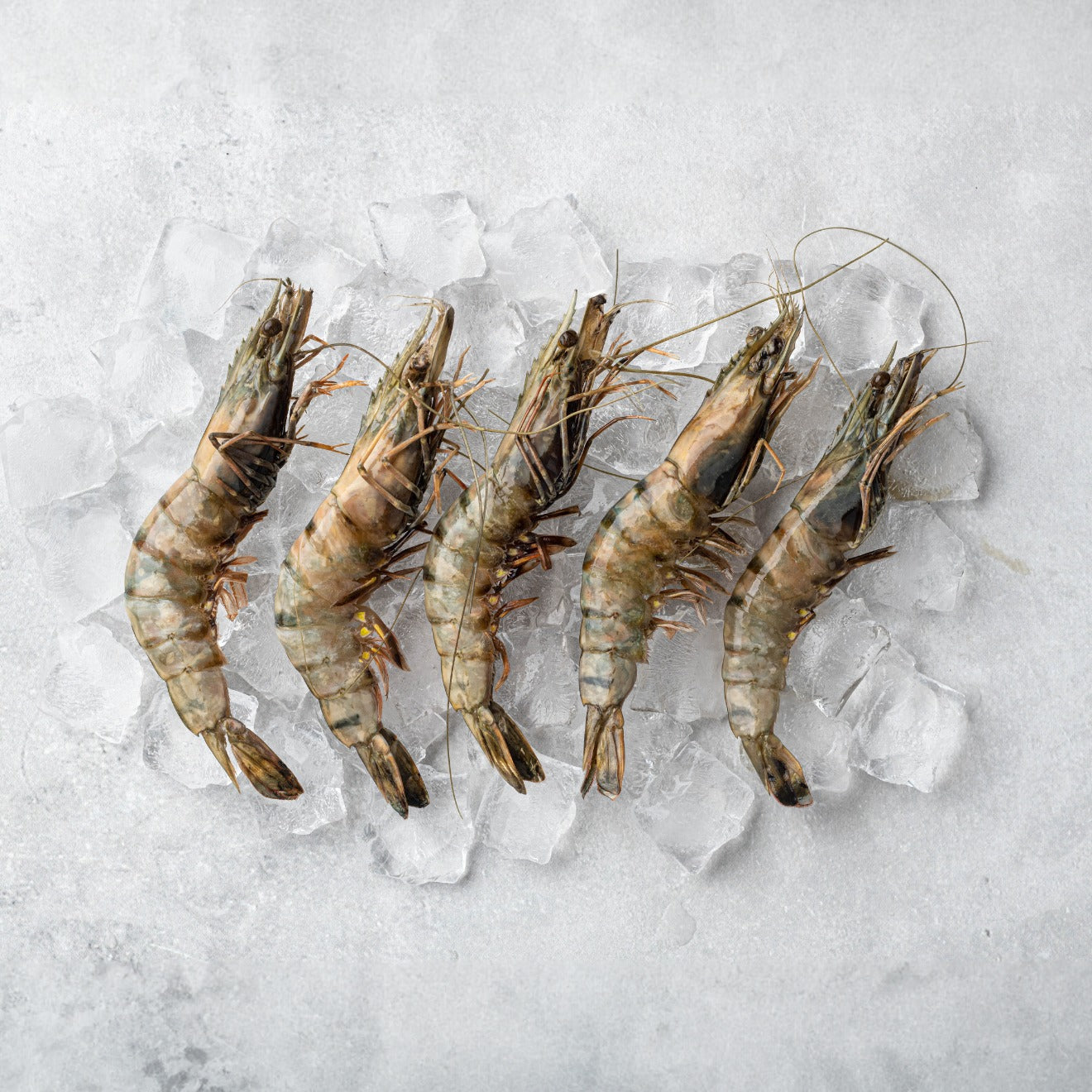 Tiger Prawns | வரி இறால் (500g)
