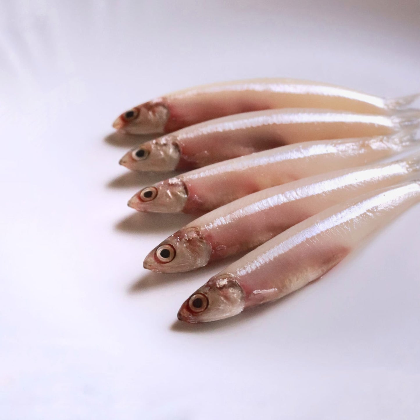 Anchovy | நெத்திலி (500g)