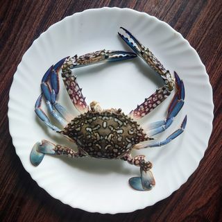 Blue Crab | நீல நண்டு (500g)
