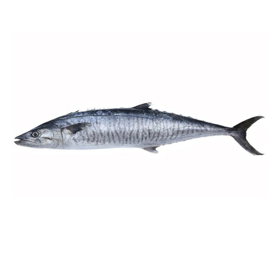Seer Fish | வஞ்சரம்/நெய் மீன் (500g)