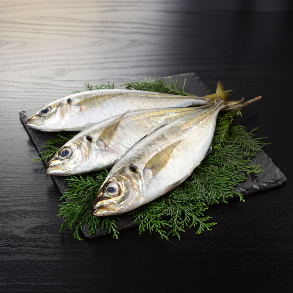 Indian Mackerel | அயிலை/குமுளா (500g)