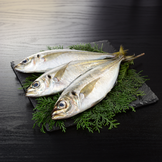 Indian Mackerel | அயிலை/குமுளா (500g)