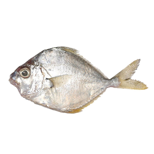 Silver Belly Fish | காராப்பொடி (1kg)