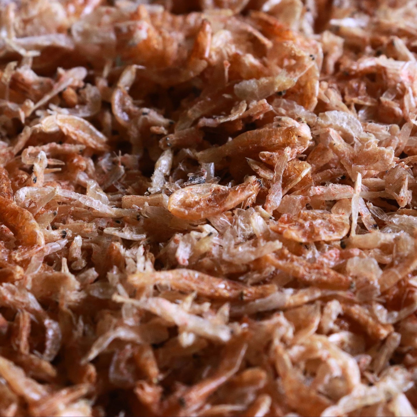 Dry Shrimp | கூனி இரால் கருவாடு (250g)